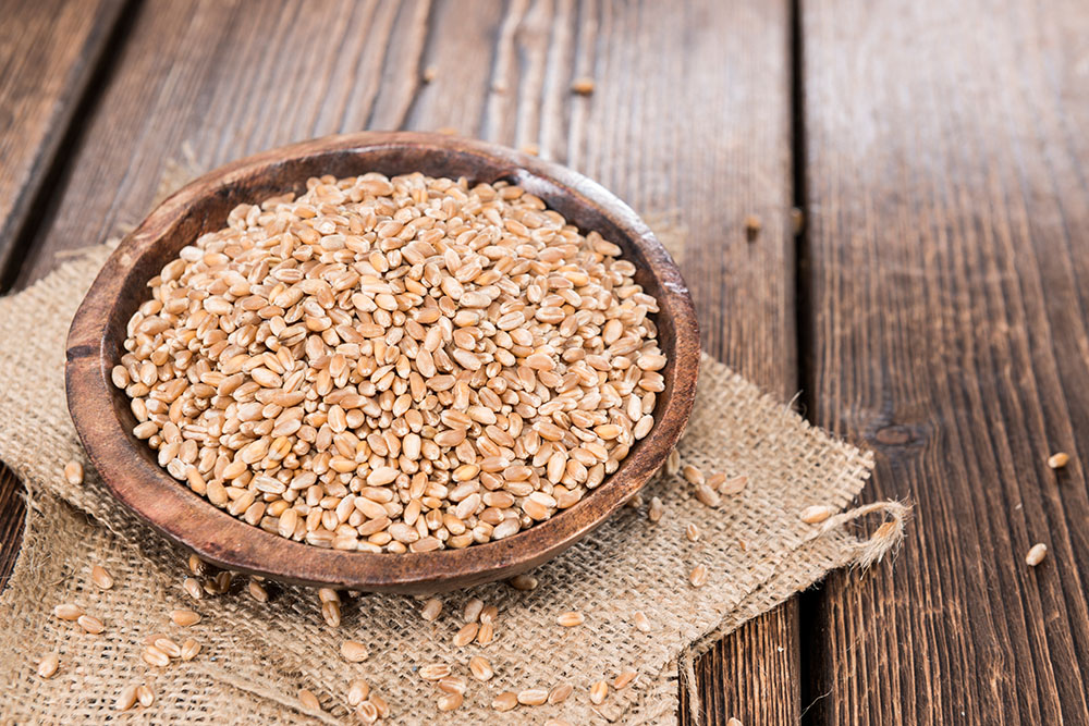 Best Pseudograins You Have to Be Aware of